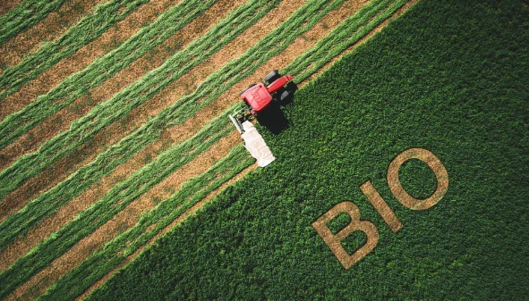 生物基1,3-丙二醇（PDO）